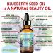 Buy Blueberry Seed Oil - Virgin Unrefined Cold-Pressed Carrier Oil for Face Body & Hair | 0.5 Fl. oz - Anti-Aging Moisturizer by Botanical Beauty - Buy Online on SooperMarket.com
