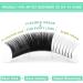 Easy Fan Lashes D-0.05-8-15 Eyelash Extensions C D curl Easy Fan Russian Lashes Self Fanning Lashes Automatic Blooming Lashes(D-0.05 8-15 mix) 8-15mix D-0.05 - Buy Online on SooperMarket.com