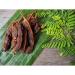 Buy Fresh Tamarinds - 100% Sweet & Sour Dates from Thailand (200g) | International Shipping Available - Buy Online on SooperMarket.com