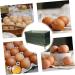 Serving Tray Box Plastic Container Plastic Pallet Fridge Egg Container Multi-Layers Eggs re-usable Green 26.5X16X10CM - Buy Online on SooperMarket.com
