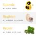 Ursa Major Mountain Glow Natural Face Serum - Vegan Daily Moisturizing Serum for Youthful Skin | Combat Wrinkles & Boost Radiance | 1.0 oz - Buy Online on SooperMarket.com