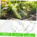 Gogogmee 4pcs Garden Cucumber Star Candy Shaped Growth and Plangting Vegetables Rigid Growing Vessel - Buy Online on SooperMarket.com