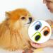 GMXJGZ 3PCS Pet Knot Opener Grooming Knife - Cat Knot Comb Hair Removal Tool & Massage Brush | Blue Green Orange - Buy Online on SooperMarket.com