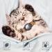 Reflective GPS Cat Neck Band with Apple AirTag - Adjustable & Bell Fits XS 7-9 inch Cats & Puppies - Jiarui Orange Collar - Buy Online on SooperMarket.com