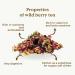 Red Berry Tea Loose Organic 100g (50 Cups) | Caffeine Free Fruit Loose Leaf Tea with Hibiscus Cherry Raspberry Strawberry REPLANTEA - Buy Online on SooperMarket.com