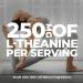 HIGH POTENCY L-Theanine Supplements 250mg Stress Support Improved Sleep Promotes Calm & Relaxation Anxiety Relief Natural Vegan Gluten Free. 120 Capsules 2 Packs 240 count (Pack of 1) - Buy Online on SooperMarket.com