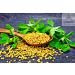 Organic Dried Fenugreek Leaves (Kasoori Methi) 1oz | Naturevibe Botanicals | Cooking Spice for Flavor Enhancement - Buy Online on SooperMarket.com