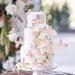 Blumomon 30 Pcs 3D Butterfly Cake Topper Decor - Pink Gold Edge Cupcake Picks for Weddings Baby Showers & Birthdays - Buy Online on SooperMarket.com