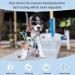 Small Dog Helmet Goggles UV Protection Pet Sunglasses - S Size, Black - Buy Online on SooperMarket.com