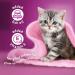 WHISKAS Perfect Portions Kitten Wet Cat Food Pat - Chicken Entr e 75g (24Pack) Pat Kitten 75 g (Pack of 24) - Buy Online on SooperMarket.com