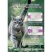 Shop Airtag Cat Neck Band | Reflective Kitten Collar with Holder & Bell | Light Tracker for Young Cats - Purple - Buy Online on SooperMarket.com