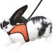 Shop Kerbl Rabbit Harness with Flexible Leash - Adjustable 22-26 cm Neck & 33-43 cm Belly | International Shipping Available - Buy Online on SooperMarket.com