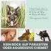NOMS+ ZPOT-ON Dog Ticket | Annual Supply | Natural Active Ingredients & Saltidin | Protects Against Ticks Mites Fleas & Sand Mosquitoes - Shop Now! - Buy Online on SooperMarket.com