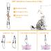 Jetczo Cat Wand Toy - Feather Replacements with Bells for Interactive Exercise - 6 Piece Set - Buy Online on SooperMarket.com