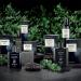 L'Erbolario Black Juniper - Energizing Fragrance With Woody Notes - Can Be Worn Every Day With Pride - Dermatologically Tested - Citrus And Woody Scent - For All Skin Types - 1.6 Oz EDP Spray Aromatic. 1.6 Ounce (Pack of 1) - Buy Online on SooperMarket.com