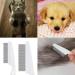 Flea Comb for Dogs 2-piece Set of Dog Fine Toothed Flea Comb Flea Comb for Cats Dogs Lice Combs Fine Tooth Comb Grooming Suitable for Removing Tears Stains from Dogs Fleas Lice - Buy Online on SooperMarket.com