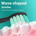 LINILEEA Toothbrush Replacement Heads Black Compatible with Philips Sonicare Click On Electric Toothbrush 8Pack Balck 1 count (Pack of 8) - Buy Online on SooperMarket.com