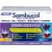 Sambucol Black Elderberry Cough Cold and Flu Day/Night| Helps Relieve Congestion Fever Sore Throat & Head Pain | Black Elderberry White Willow| 24 Hard Capsules (18 Day/6 Night) - Buy Online on SooperMarket.com