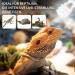 Buy Lucky Herp UVB Lamp for Reptiles - Compact 13W E27 UVB 10.0 Ideal for Turtles Chickens & Amphibians - International Shipping Available - Buy Online on SooperMarket.com