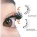 DASHIELL No Glue False Eyelashes | False Reusable Lashes - Natural Look False Lashes False Eyelashes Easy-to-Use Applicator Strong Magnets For Beginners - Buy Online on SooperMarket.com