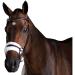 Collegiate ComFiTec Sheepskin Bridle Black Full Size
