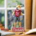 Buy Evergreen NCAA Washington State Cougar Tiki Totem - Unique Home Decor for Fans - Fast International Shipping - Buy Online on SooperMarket.com