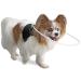 Walkin Halo Harness, Harness for Blind Dogs, Comfortable Harness for Pets Over 30 pounds, Blind Dog Accessories XX-Small