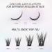 LANKIZ DIY Wispy Lash Clusters Individual Extensions 120 Clusters C+ D Mix Curl - Soft Lightweight 10-16mm Wide Band Mix Style Cluster Lashes | Home Use - Buy Online on SooperMarket.com