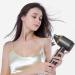 Negative Ionic Hair Dryer Quick Heat Up & Constant Temperature Fast Drying Lightweight Travel Hairdryer 4 Temps 2 Speeds Portable Home Hair Dryer for Home Travel (US Plug 110V) - Buy Online on SooperMarket.com