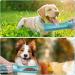 Emwel Foldable Water Bottles for Dogs - Leak-Proof 550ml Portable Puppy Dispenser for Travel Hiking & Walks - Buy Online on SooperMarket.com