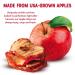 Gourmet Nut Simple Slices Baked Apple Chips - USA Grown Dried Apples - Healthy Vegan Snack - No Added Sugar - Red Apples - 8 Pack Box - Buy Online on SooperMarket.com