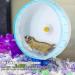 iFCOW 21cm Silent Hamster Running Wheel - Exercise Toy for Pet Mouse, Gerbil, and Rats - Buy Online on SooperMarket.com