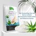 P-Beauty Footmaster Aloe - Intensive Foot Care Peeling Socks | Remove Rough Skin Cracks & Calluses | 5 Pairs for Silky Soft Feet - Buy Online on SooperMarket.com