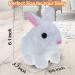 ZBATHTOY Interactive Rabbit Toy for 1-6 Year Old Boys and Girls | Birthday Gift for Toddlers | Educational Pet Toy for Kids Age 6M - Buy Online on SooperMarket.com