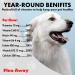 Natural Flea Away Repellent for Dogs and Cats - 100 Chewable Tablets - Buy Online on SooperMarket.com