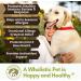 Organic Dog Allergy Relief & Immune Support Supplement | Vitamin C Powder for Joint Mobility & Overall Health | UTI Relief | 1000mg Ester C | Made in USA | 6 oz - Buy Online on SooperMarket.com