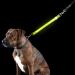 Furhaven Pet Hands-Free Bungee Dog Leash with LED Collar and Safety Features - Multiple Colors and Sizes - Buy Online on SooperMarket.com
