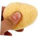 HAPINARY Natural Sponge Greece Face Sponges for Cleansing and Exfoliating Facial Essentials Face Cleaning Pad Sponges for Facials Facial Cleansing Sponge Cleansing Sponges for Face - Buy Online on SooperMarket.com