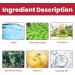 Dajidafu Women Face Whitening Brightening Girls Natural Ingredient Moisturizing Essence Female Portable Stock Solution - Buy Online on SooperMarket.com