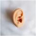 Flexible Silicone Ear Model - Ear Simulation Template with Acupuncture Details Practice Choose Studs Earring Display Accessories Left