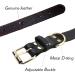 Tagme Personalized Leather Dog Collar - Engraved Name & Phone Number for Medium Dogs - Black M (1-Pack) - Buy Online on SooperMarket.com