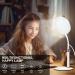 Happy Lamp 10000 Lux Desk Sun Lamp with 360 Adjustable Gooseneck & 3 Colors & 10 Brightness Levels for Reading/Office/Home small - Buy Online on SooperMarket.com