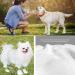 20 PCS Dog Shoes Dog Boots for Injured Paws Waterproof Dog Socks Outdoor Dog Rain Boots Waterproof and Dustproof Pet Dog Shoe Covers Dog Socks Paws Stop Licking for Dog Cat Pets(M) - Buy Online on SooperMarket.com