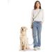 Hands-Free Dog Leash - 2m Adjustable Belt for Running & Training | 3-in-1 Multi-Function for All Dog Sizes - Touline Army Green - Buy Online on SooperMarket.com