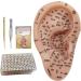 Shitoomfe Ear Seed Acupuncture Kit - Complete Soft Ear Seed Kit with 7.5 Ear Model Tweezers Probe Pen & Ear Acupuncture Guide - Perfect for Self-Care & Wellness - Buy Online on SooperMarket.com