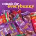 Annie's Organic Chewy Granola Bars - Peanut Butter Chocolate Chip, 5.34 oz (12 Pack) - Healthy Snack Choices - Buy Online on SooperMarket.com