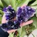 Home Decor Natural Dream Amethyst Quartz Crystal Cluster Specimen Gifts Natural Crystal Room Decoration FUZEGRDLI (Color : 90-100g Size : 1pc) 1pc 90-100g