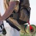Multi-Color Mini Survival Compass Outdoor Camping Hiking Pocket Compass Liquid Filled Mini Compass on Cord for Emergency Survival Kits Watchband Paracord Bracelet Necklace Key Chain - Buy Online on SooperMarket.com