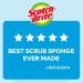 Scotch-Brite Non-Scratch Scrub Sponges - 3 Pack for Dishes & Kitchen Cleaning - Buy Online on SooperMarket.com