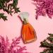 Nicole Miller By Nicole Miller For Women. Eau De Parfum Spray 3.4 Ounces Fruity 3.4 Fl Oz (Pack of 1) - Buy Online on SooperMarket.com